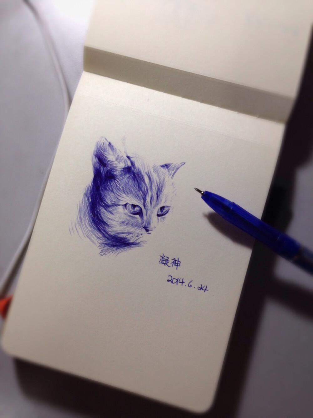 猫。Roxane