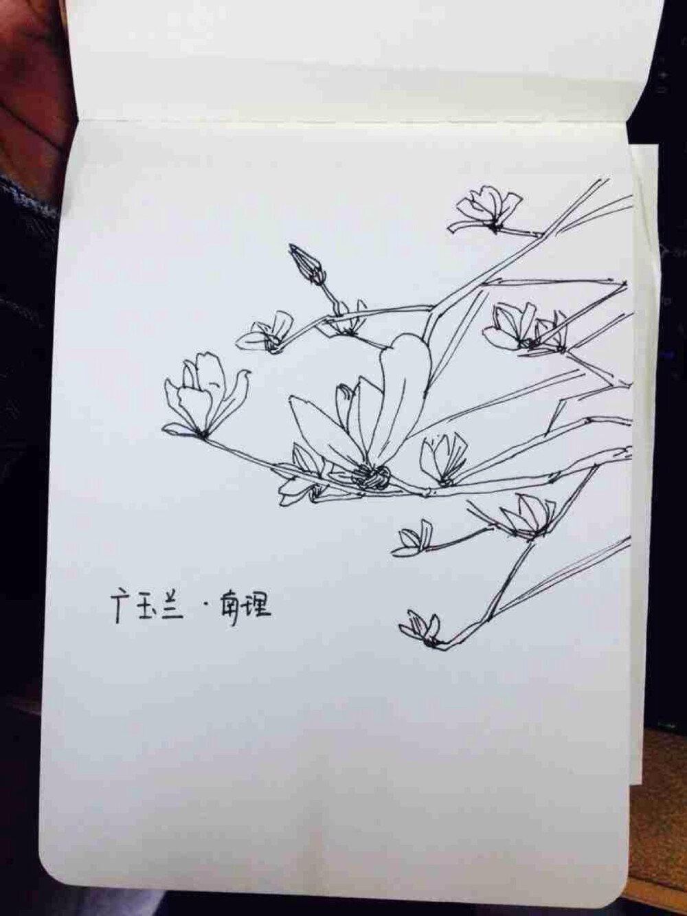 南理工花记