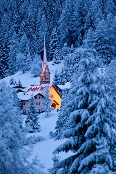 雪山森林。意大利Dolomites