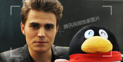 Stefan.Paul Wesley.