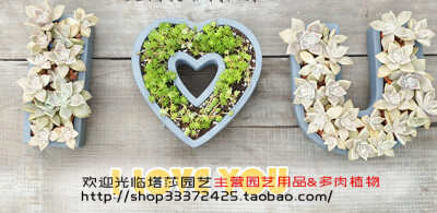 http://shop33372425.taobao.com/塔莎花房是塔莎园艺（Tasha Garde）推出的一座以园艺为主题的“花の房子“，包括工作室和花园两部分，建设完好的塔莎花房将被花草簇拥，主打产品有各色欧洲月季和玫瑰，小清新多肉植…