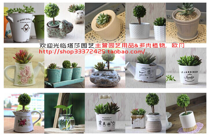 http://shop33372425.taobao.com/塔莎花房是塔莎园艺（Tasha Garde）推出的一座以园艺为主题的“花の房子“，包括工作室和花园两部分，建设完好的塔莎花房将被花草簇拥，主打产品有各色欧洲月季和玫瑰，小清新多肉植物，萌系植物，香草，奇趣植物，种球植物，别致小盆栽，水族萌宠等级，提供丰富品种的园艺资材，花园ZAKKA杂货，特色盆器等，亦可享受“花园下午茶”，花园手工甜品。同时定期开展园艺主题活动，包括传授各种种植，养护技术，制作手工作品，邀请知名花友，园艺专家，手工达人交流互动等。“慢时光，轻生活“，欢迎您来塔莎花房体验绿色园艺生活！ 编辑标签