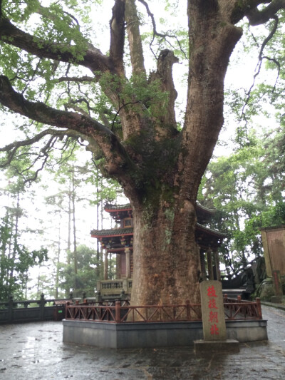  第一个碎片，清水岩雨景