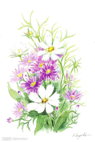 小小的花朵也可以有自己的世界