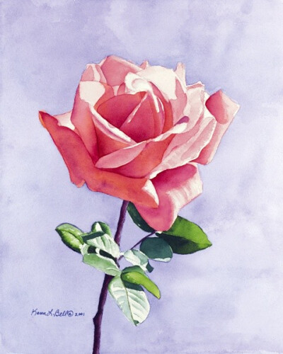 小小的花朵也可以有自己的世界