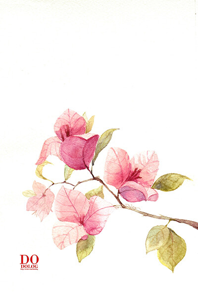 小小的花朵也可以有自己的世界