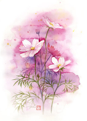 小小的花朵也可以有自己的世界