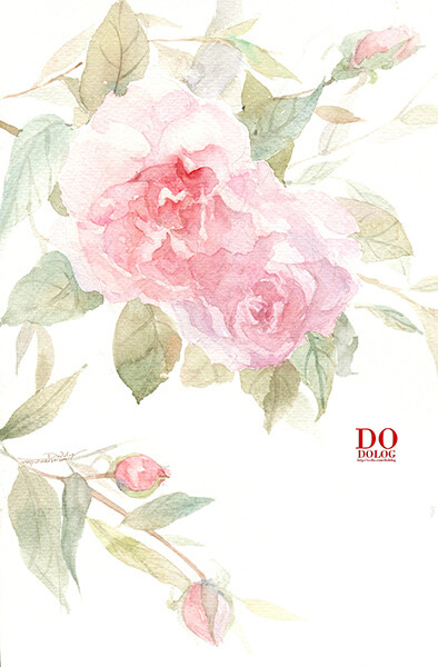 小小的花朵也可以有自己的世界