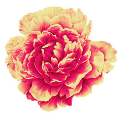 小小的花朵也可以有自己的世界