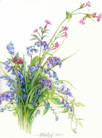 小小的花朵也可以有自己的世界