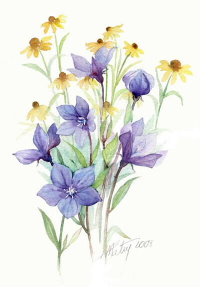 小小的花朵也可以有自己的世界