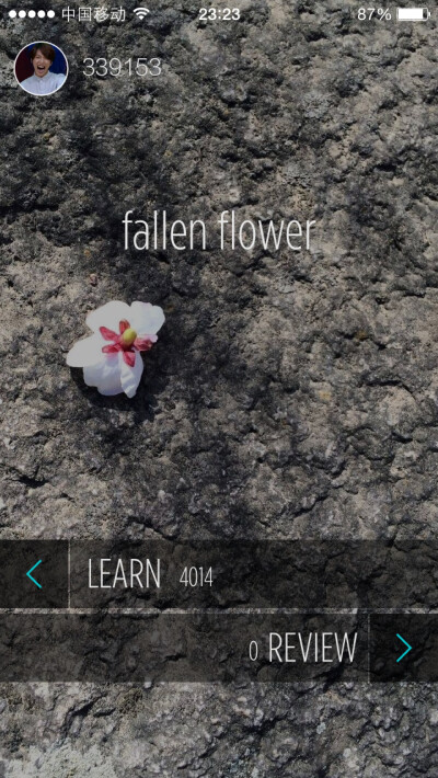 不背单词之fallen flower