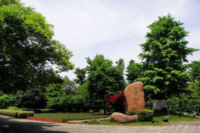 平湖图书馆外的东湖风景区的景色。