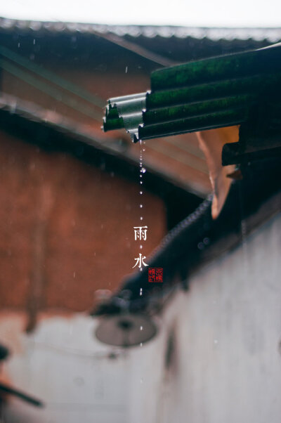 雨水