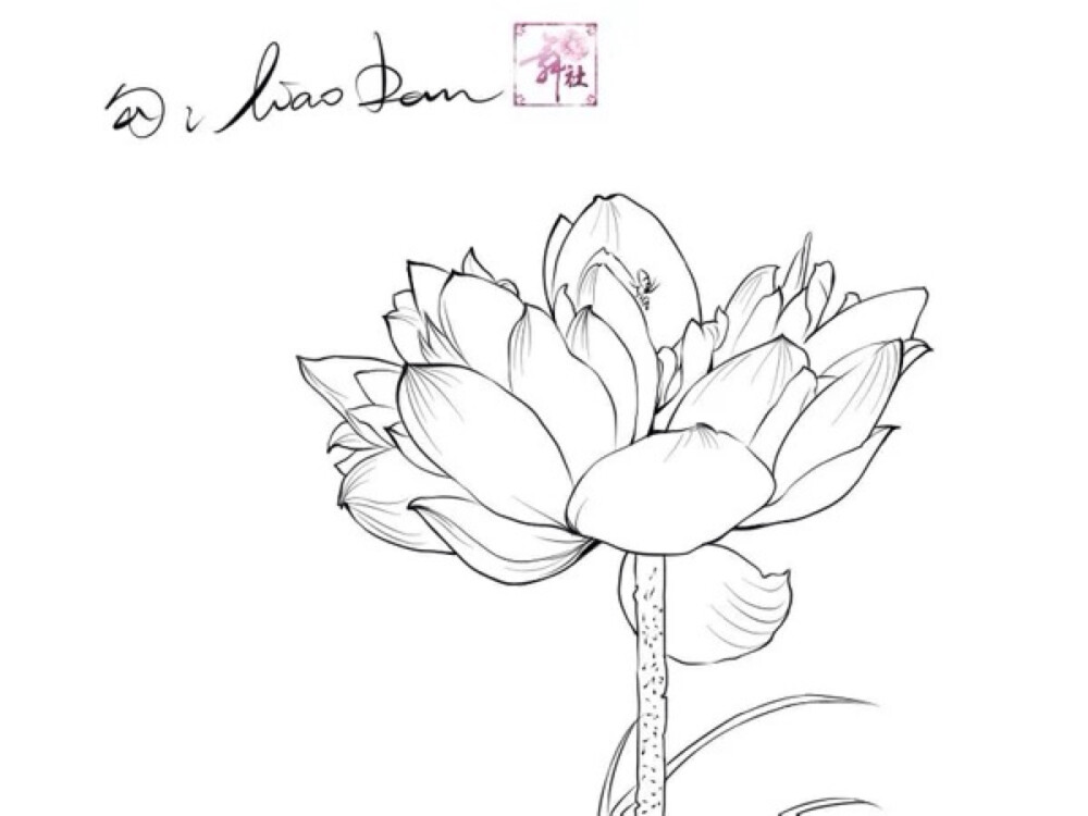 沉沉个人是觉得 一个好画师不单单要回画线稿 还要会给线稿上色。所以画画累了不妨借用大大们的线稿联系下上色~也可以学到很多哦比如配色和渲染技巧什么的~#来一组线稿练习 #手绘进阶教程 #上色篇