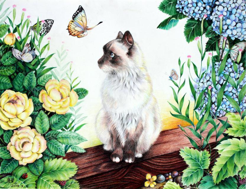 彩铅--猫咪的花园 在花间乘凉的小猫，这只猫出自松鼠桑的日记本微博图片，绣球花、桑葚、七星瓢虫和蝴蝶都是我自己加上去，这样就比原图花俏多了~ 作者：唐慧~