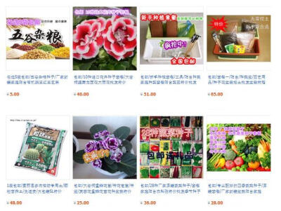 阳台种菜养花 全场免运费 淘宝店网址http://shop66624196.taobao.com