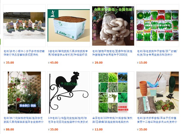 阳台种菜养花 全场免运费 淘宝店网址http://shop66624196.taobao.com