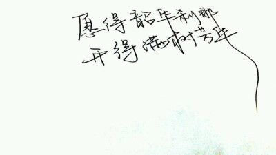 愿得韶华刹那，开得满树芳华