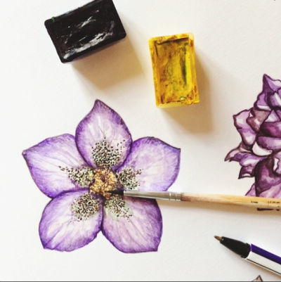 ◈◈◈Ira笔下的花卉◈◈◈