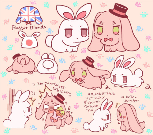 iPhone壁纸 萌物 可爱 背景 动物 兔子 平铺