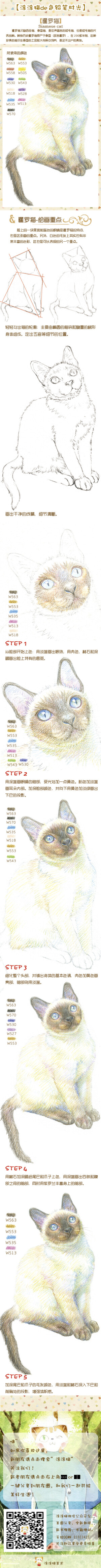 #涂涂猫de色铅笔时光# 关注涂涂猫-使用微信搜索公众账号“涂涂猫” 将获得更多绘画指导和礼品获赠机会 涂涂猫手绘群21022427