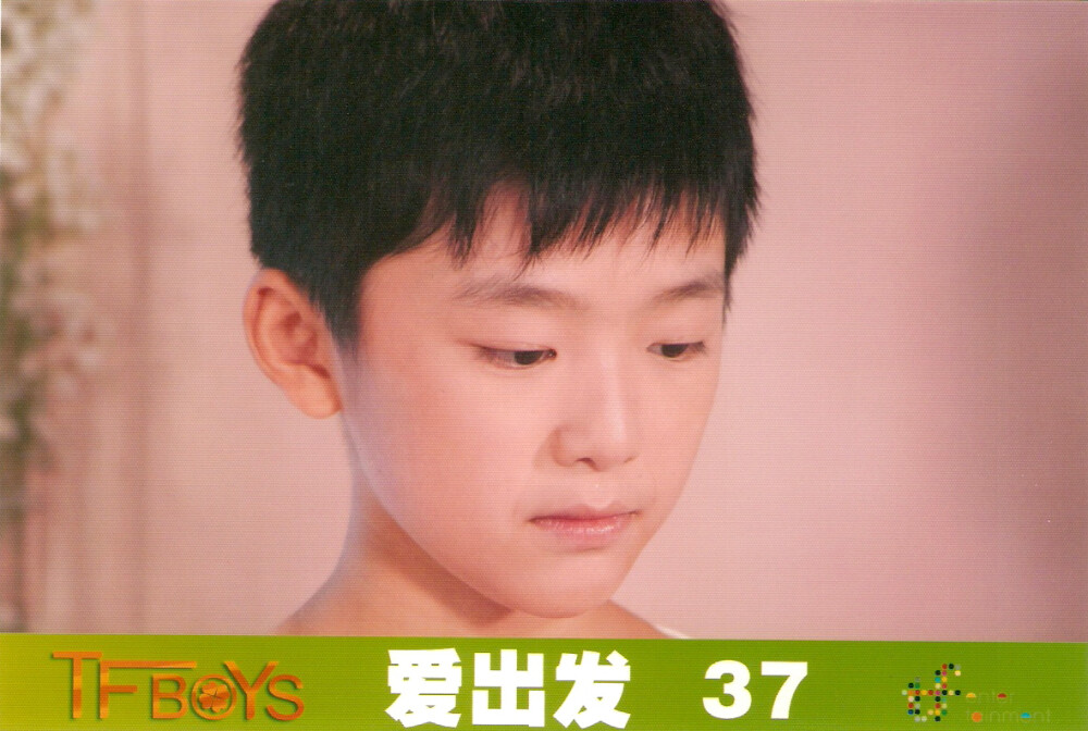 刘志宏 天宇文 TF家族