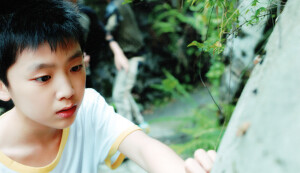 刘志宏 天宇文 TF家族