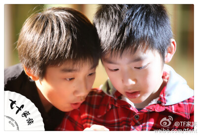 刘志宏 天宇文 TF家族