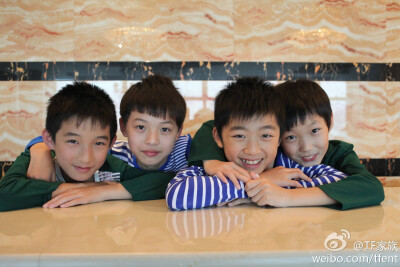 刘志宏 天宇文 TF家族