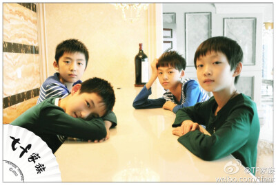 刘志宏 天宇文 TF家族