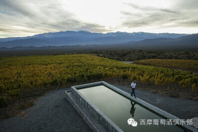 葡萄园还能造在这种地方？！6、Colomé酒窖 海拔最高的葡萄园——“Altura Máxima”目前由瑞士葡萄酒巨头唐纳德赫斯拥有，坐落于海拔3000米的高山上。但是截止至今，人们已经在这里种植了上百年的葡萄了。推荐关注微…