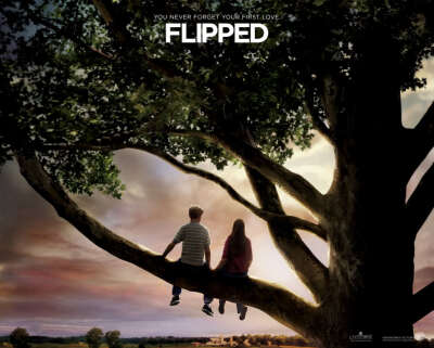 flipped