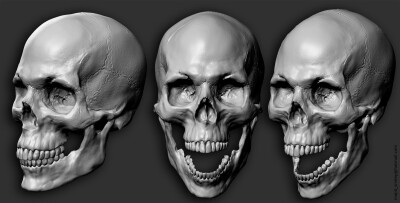 很好的人体参考