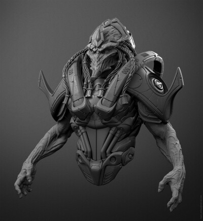 很好的人体参考