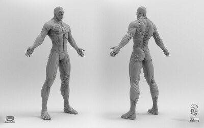 很好的人体参考