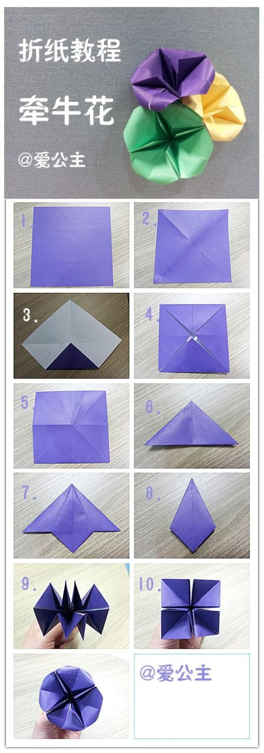 手工达人的折纸教程：牵牛花