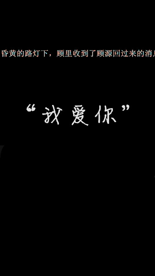 昏黄的路灯下，顾里收到了顾源回过来的消息。 “我爱你”