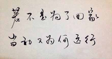 若不是为了回家 当初又为何远行