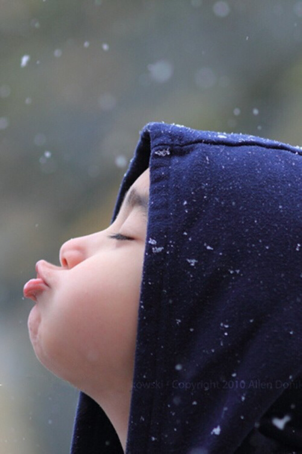 宝宝雪花