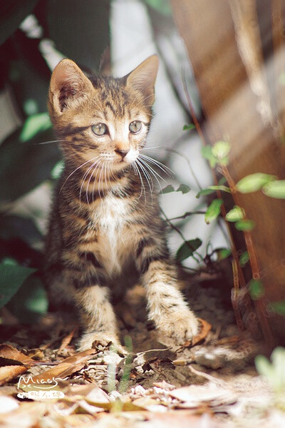 美好的一天开始拉～～