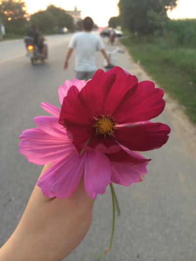 我遇到了对的人，遇到了幸福。