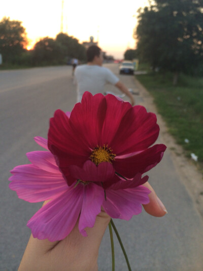 我遇到了对的人，遇到了幸福。