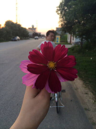 我遇到了对的人，遇到了幸福。