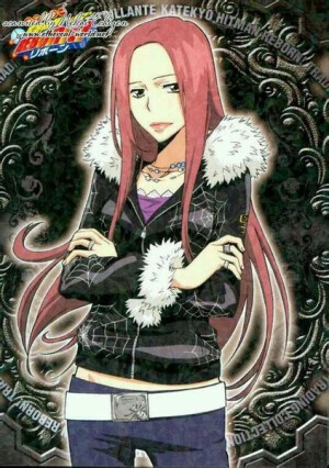  家庭教师 HitmanReborn