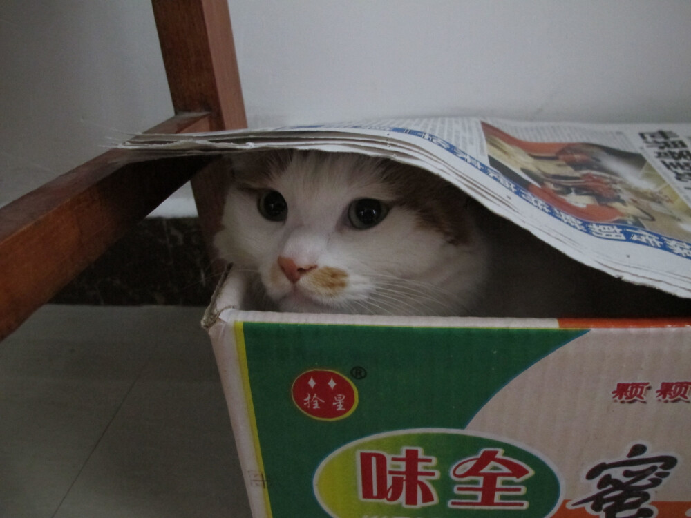 不要洗澡澡！躲起来