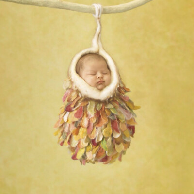 安妮·哥蒂斯（Anne Geddes）的画册：那是我们最初的样子，我们内心最初的温柔时刻。