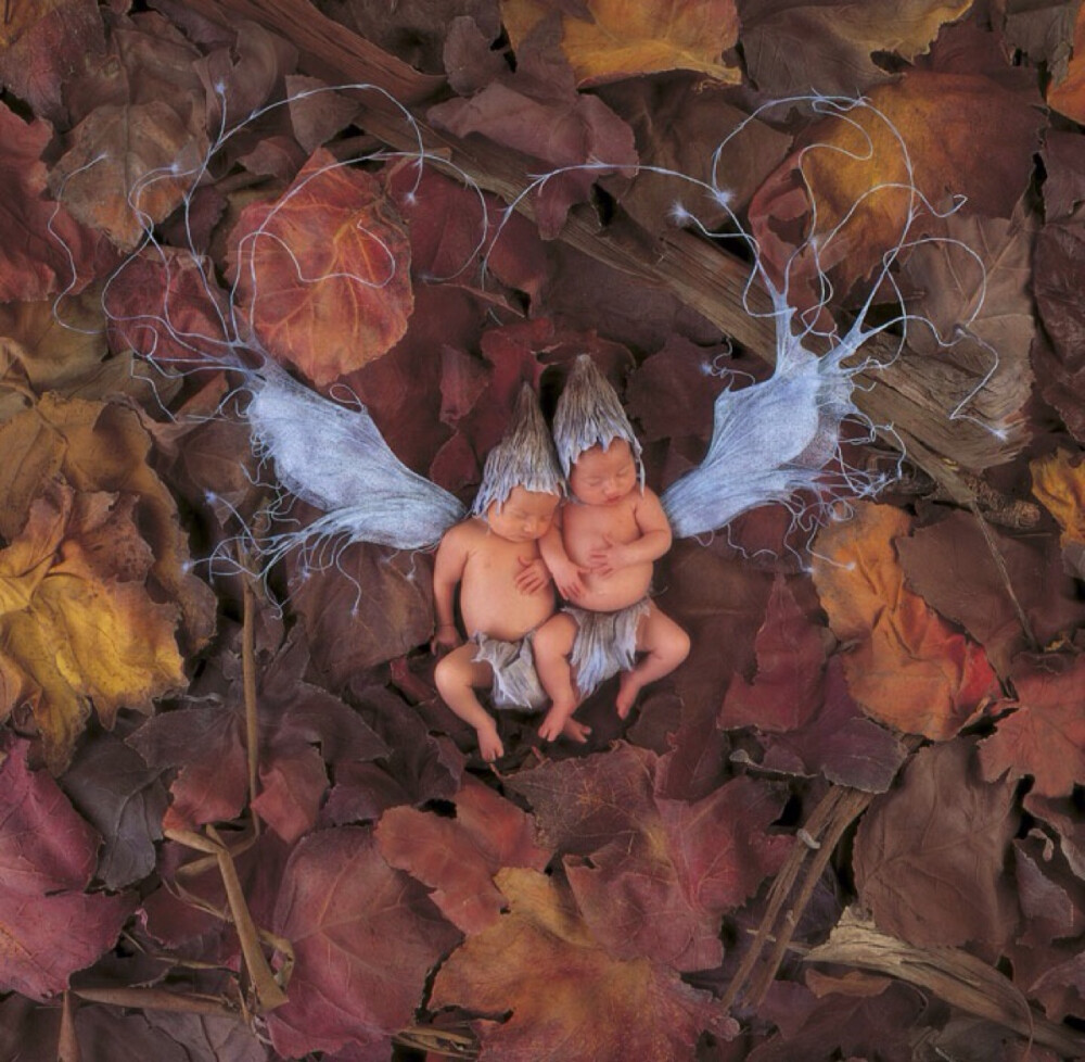 安妮·哥蒂斯（Anne Geddes）的画册：那是我们最初的样子，我们内心最初的温柔时刻。