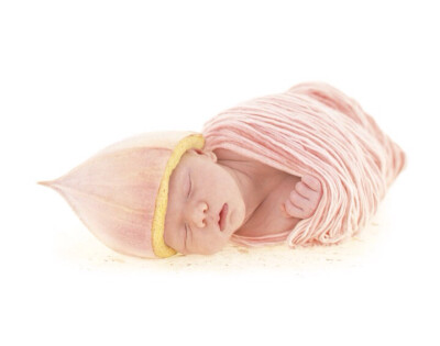 安妮·哥蒂斯（Anne Geddes）的画册：那是我们最初的样子，我们内心最初的温柔时刻。