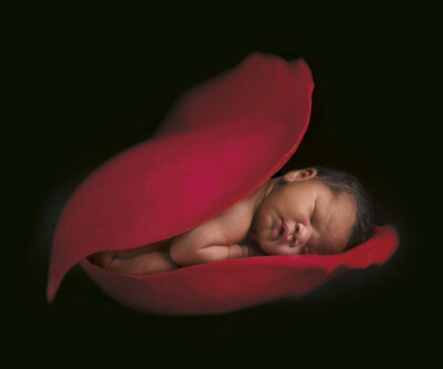 安妮·哥蒂斯（Anne Geddes）的画册：那是我们最初的样子，我们内心最初的温柔时刻。